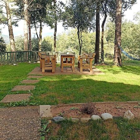 Cabana Con Vistas En Mas Coguleras Sant Jaume de Llierca Ngoại thất bức ảnh